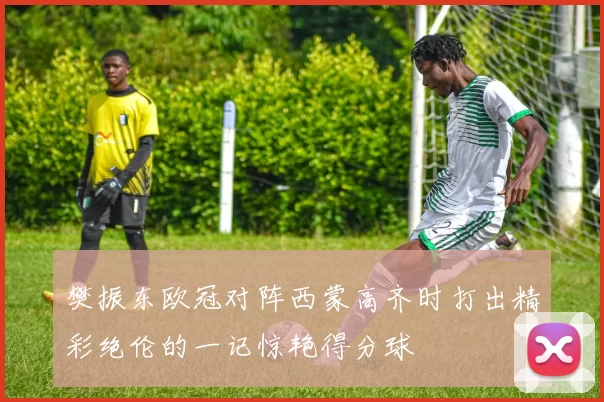 樊振东欧冠对阵西蒙高齐时打出精彩绝伦的一记惊艳得分球